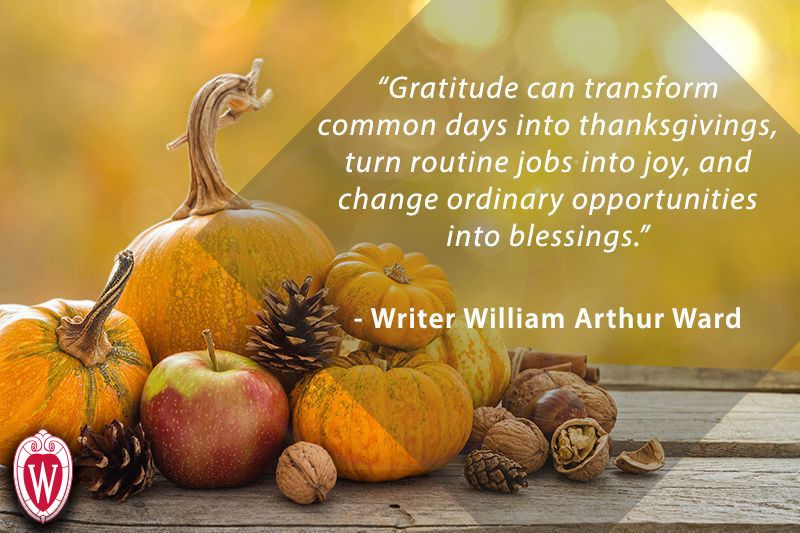 A photo of a bountiful harvest, with the quote:

Gratitude can transform common days into thanksgivings, turn routine jobs into joy, and change ordinary opportunities into blessings.

- William Arthur Ward 