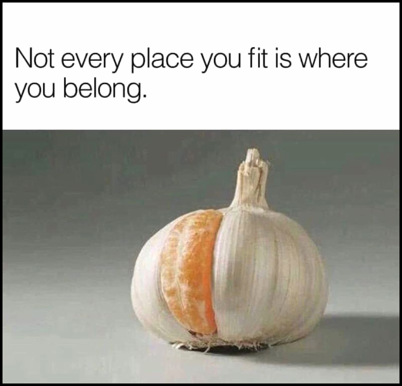 Belonging is an inside job – not every place you fit is where you belong. 
a ball of garlic with a slice of mandarin orange fitting onto an opening. 
