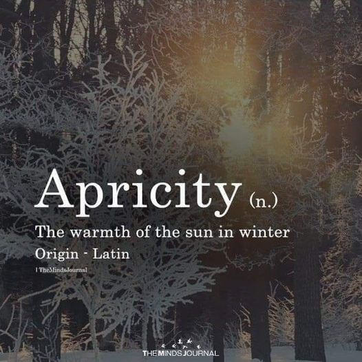 Apricity: the warmth of the sun in winter.