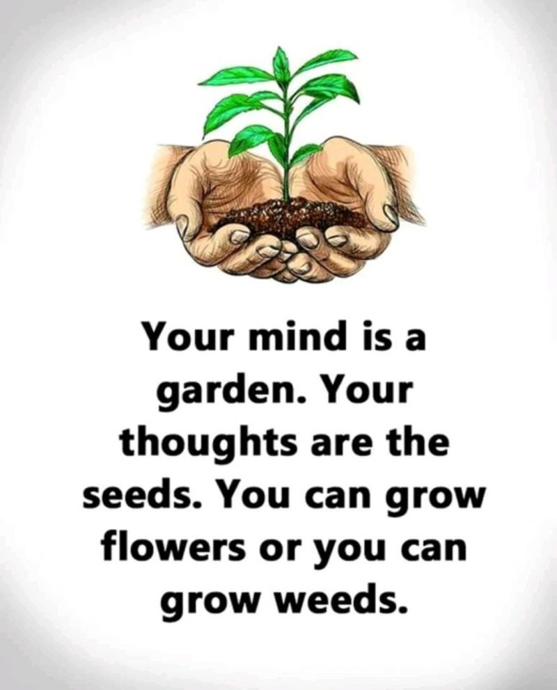 Hands holding a plant and soil with the quote: “Your mind is a garden. Your thoughts are the seeds. You can grow flowers or you can grow weeds.”