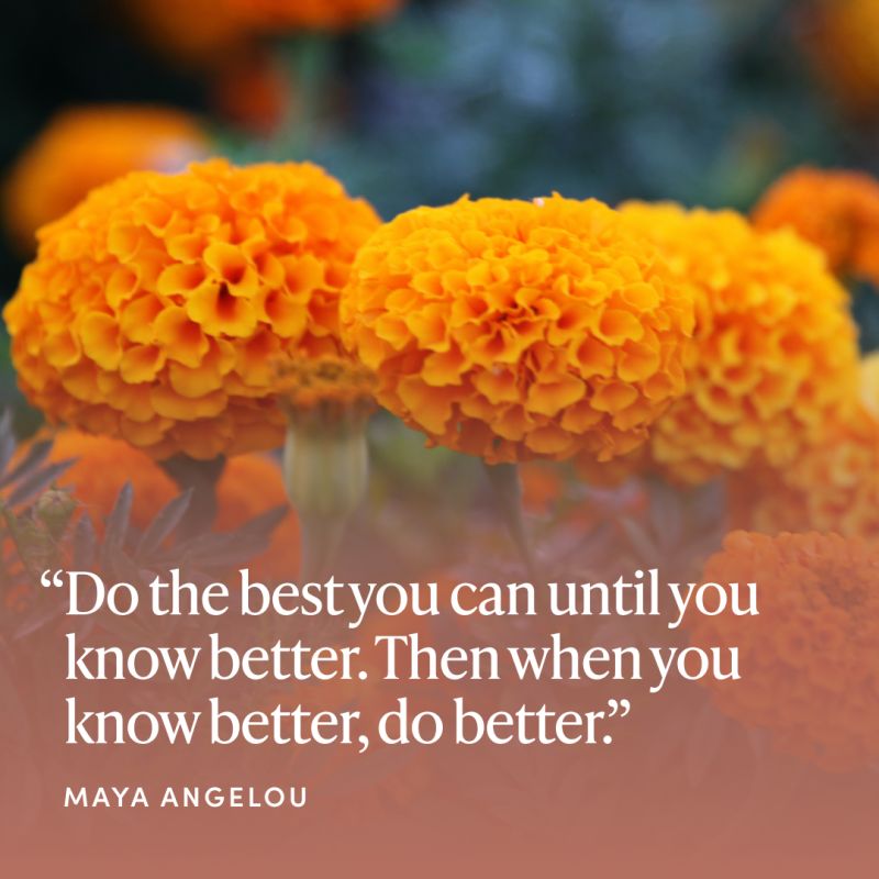 “Do your best you can until you know better. Then when you know better, do better.” – Maya Angelou