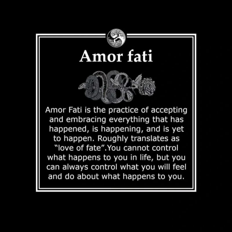 Amor fati 
Amor Fati is the practice of accepting and embracing everything that has happened, is happening, and is yet to happen. Roughly translates as "love of fate". You cannot control what happens to you in life, but you can always control what you will feel and do about what happens to you.